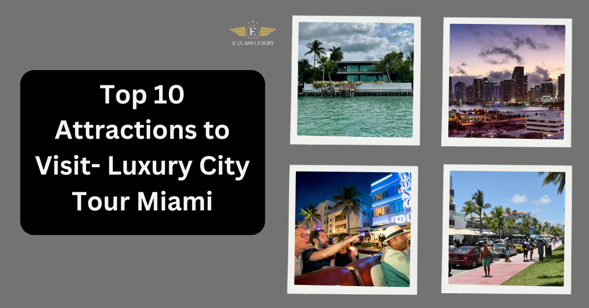 Luxury City Tour Miami